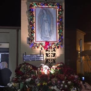 Meet your Posher, Jose